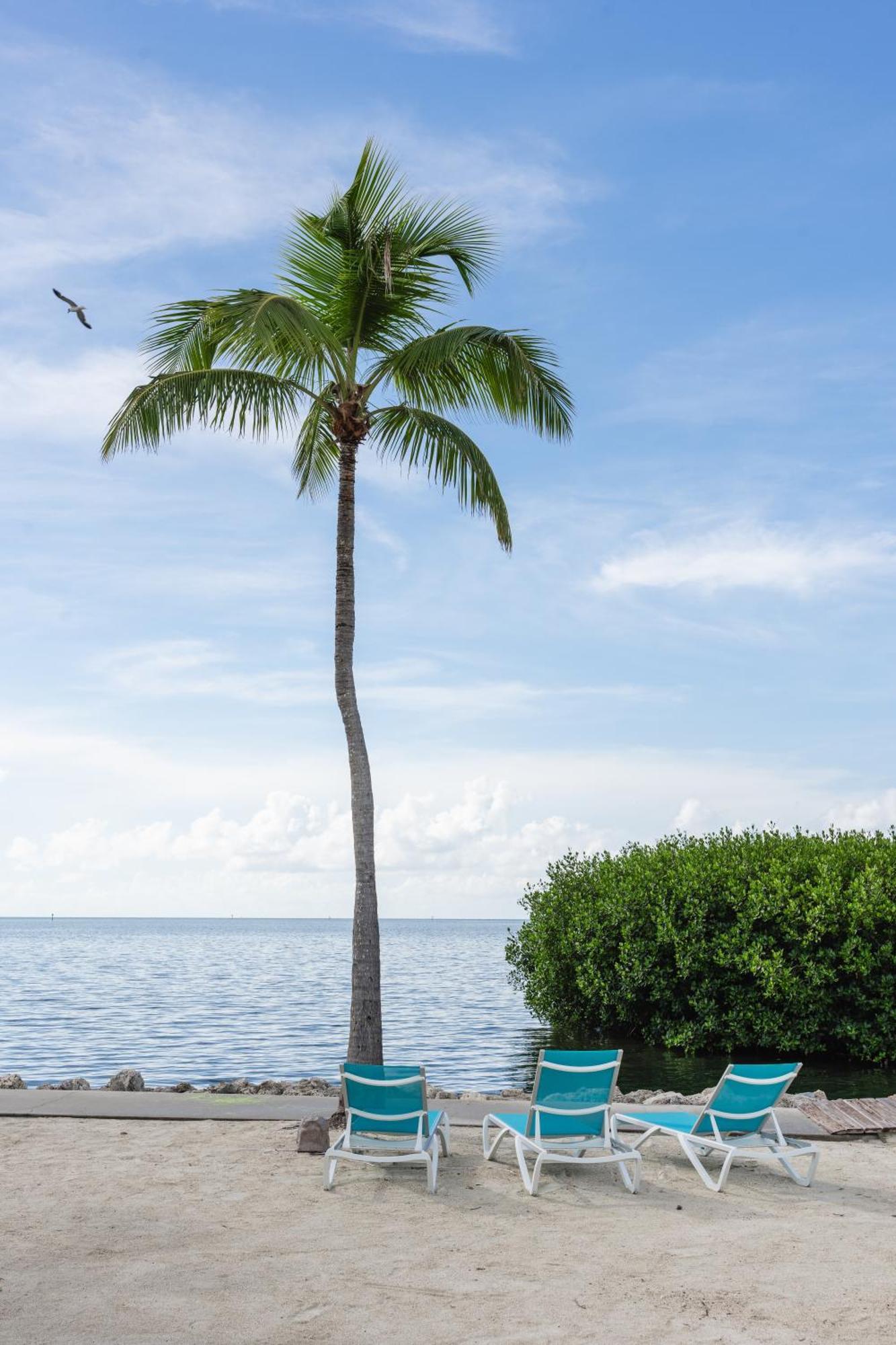 Fisher Inn Resort&Marina Islamorada Exterior foto